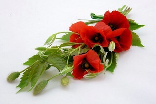 Mini Bouquets (2).JPG