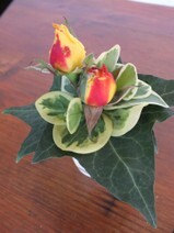 Mini Bouquets (36).JPG