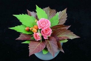 Mini Bouquets (4).JPG